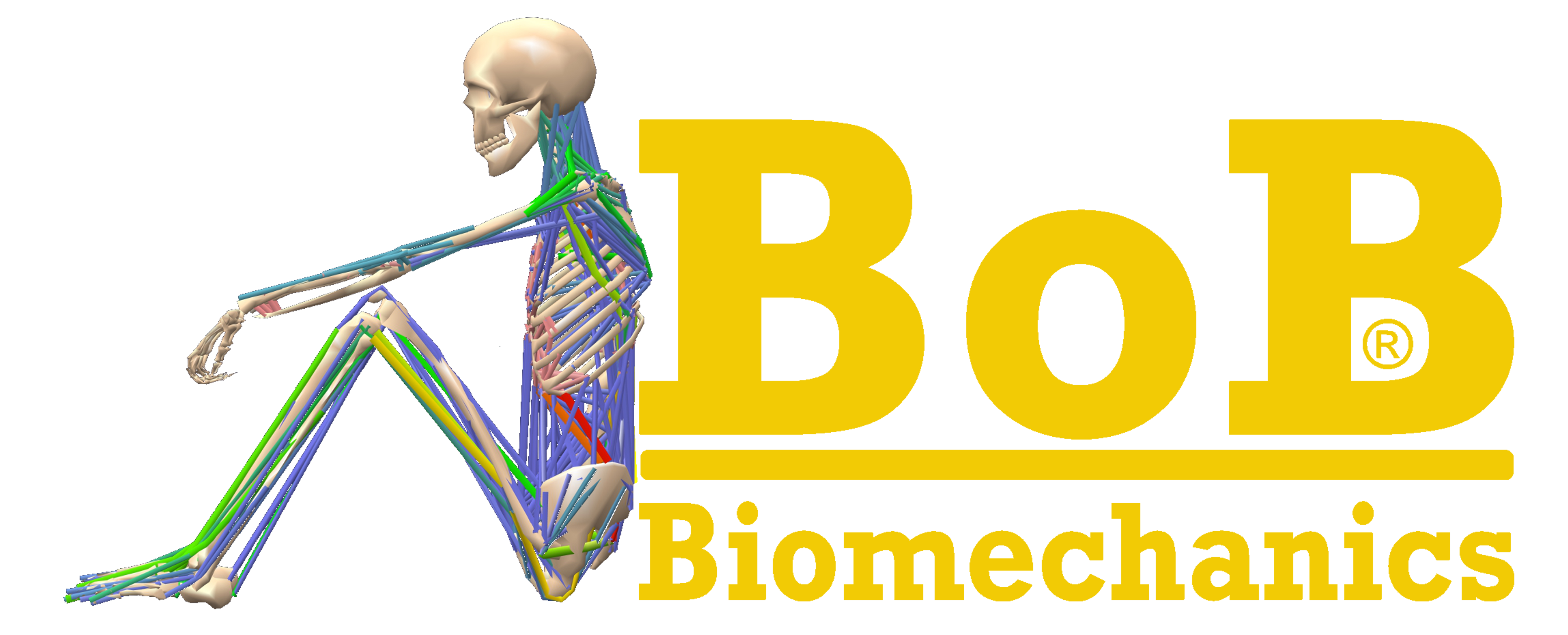 BoB Biomechanics